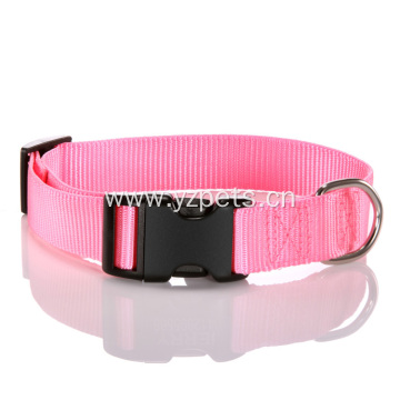 Colorful Nylon Dog Collar